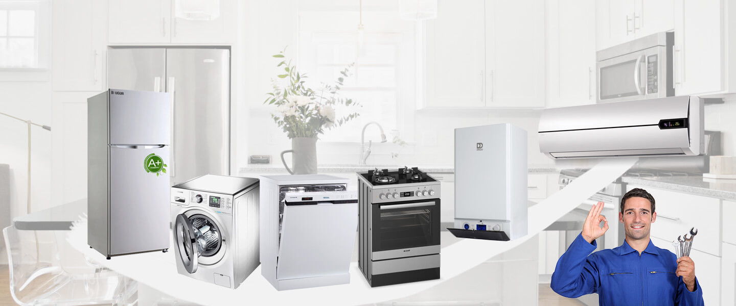 Boyalık Warmhaus Servisi